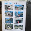 한양도성(남산구간) | 한양도성 순성길 완주 후기 (남산구간 너를 저주한다!)