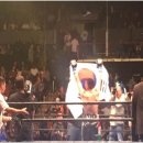 STS BOXING 이미지