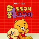 빽보이피자광주 - 서구 화개1로 31 | 빽보이피자광주