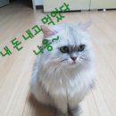 스시코우비