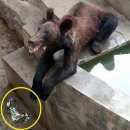 곰스타엔터테인먼트 이미지