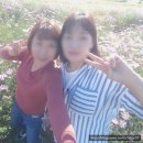 나들농장 이미지