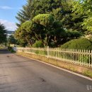 (주)케어손 네이버블로그