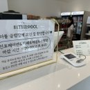 인더풀 글램핑 네이버블로그