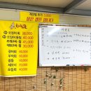 춤추는산오징어해