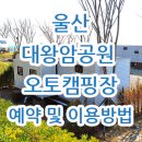 울산 대왕암공원 오토캠핑장 장단점과 이용 및 예약 방법