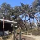 오금공원테니스장 화장실앞 | 오금공원 산책.