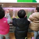 갈릴리어린이집 이미지