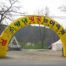 제1주차장 상가번영회 이미지