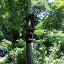 영락농원 이미지