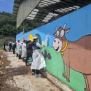 강원한우농장 이미지