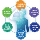 해마루약국 이미지