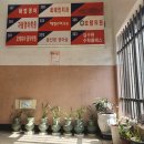 최태민치과의원 이미지