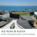 썬리치레저타운 | 부산 기장 호캉스 숙소 아난티 앳 부산 코브 오션뷰 트윈룸 수영장