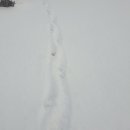 정읍사 문화공원 이미지