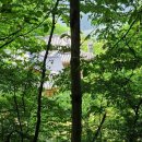 일봉목장 이미지