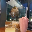 에콜로지아 이미지