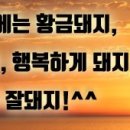 와니투어 네이버블로그