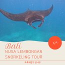 Travel with Dream & Drawing | [발리여행] 누사렘봉안 스노클링 + 육지투어 (만타 스노클링 포인트)