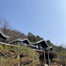 화천여행에서 묵은 숲속 산장 같았던 다가가다펜션 후기