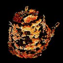 황금버섯 이미지