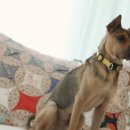 제우스농장 이미지