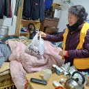 차칸치킨 Daum카페