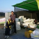 단산농원 이미지