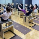 Body Buddy 이미지