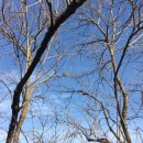 여행 영어 회화(직장인반) 이미지