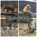 전주 동물원 가족 나들이 가기 좋은 곳