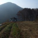 옥토교회 이미지