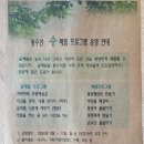 예산 봉수산자연휴양림 산림문화휴양관 5인실 종달새 호수 전망