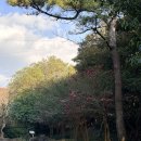 세븐일레븐 제주현대오피스텔점 | [제주 여행] 제주민속촌 완벽 정복! 겨울왕국 콜라보...주리틀기(?)까지, 너꿀이의 리얼 타임슬립 후기