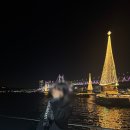 준 | 부산 해운대 광안리뷰 요트투어 맛집 요트준 후기