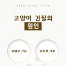 보드미동물병원 이미지