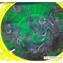 소도수산 이미지