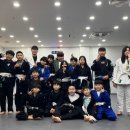 정관 팀매드 이미지