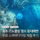 나이스포츠 | 속초 스노쿨링 명소 등대해수욕장 무료 스쿠버다이빙 해양레저스포츠 후기