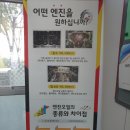 대전 기아오토큐 테크노점 방문후기