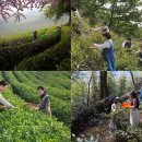 보성 다향체육관 이미지