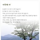 나무와나 이미지