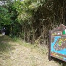 경상도우회기념회장 암각 이미지