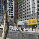 새대학약국 이미지