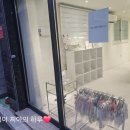 댕스투유 이미지