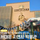 아이들이 병듦의 위기에 있다: 청소년 이해 | 아이랑 서대문 자연사 박물관 공룡부터 지구환경까지