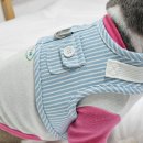 꼬로롱멍 이미지