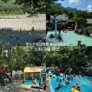 아카시아펜션 | 8년 단골의 청도 느티고을 펜션 맨드라미방 찐- 후기! 청도 가족 모임 하기 좋은 펜션⛧ 청도 수영장 펜션
