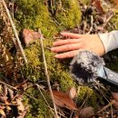 등나무1,2,3.길 이미지