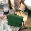 아지날리 이미지